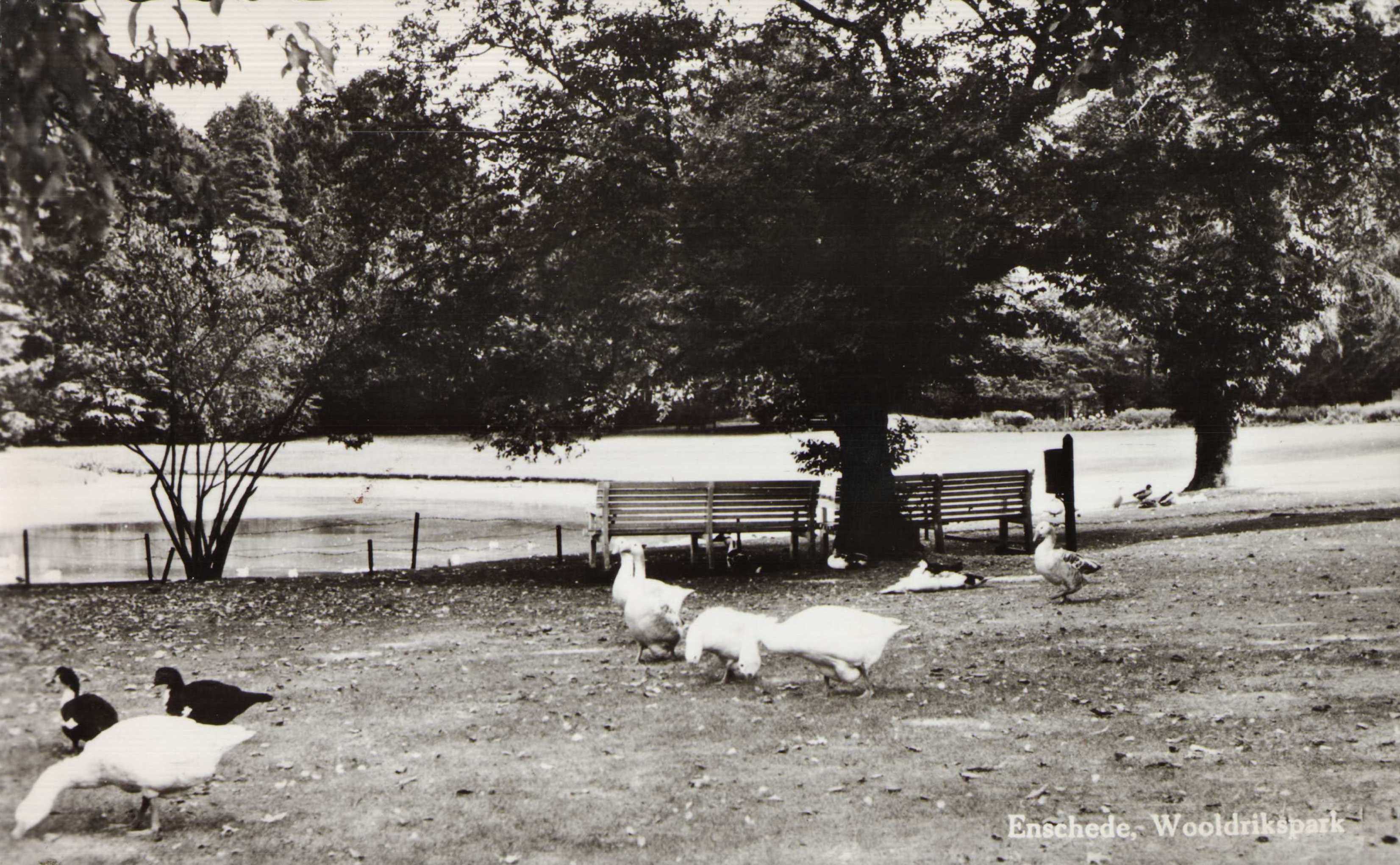 Wooldrikspark-1960-9272411e.jpg
